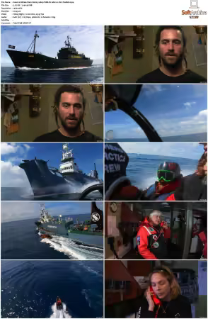 Whale Wars S01 1080p WEB-DL AAC2.0 AVC-TrollHD