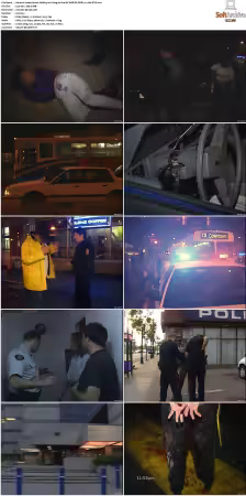 Under Arrest S01-S08 NF WEB-DL DDP2.0 x264-BTW