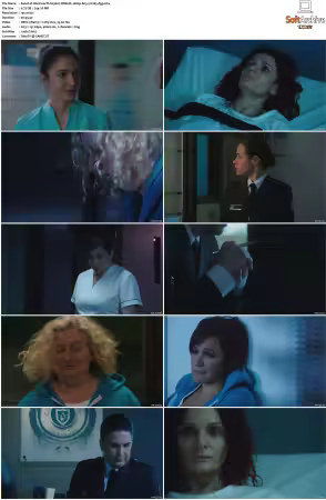 Wentworth S01 S09 1080p WEB h265-d3g