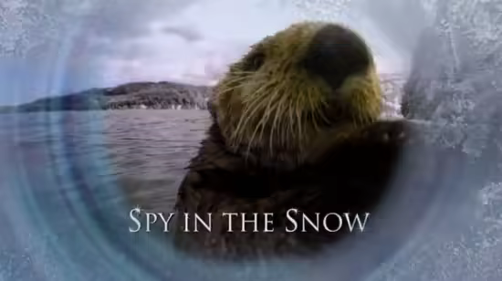 Spy in the Snow 2018 1080p WEBRip x264 AC3 DiVERSiTY