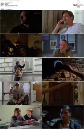 Kommissar Rex S01-S10 German 1080p HDTV x264-OMGtv