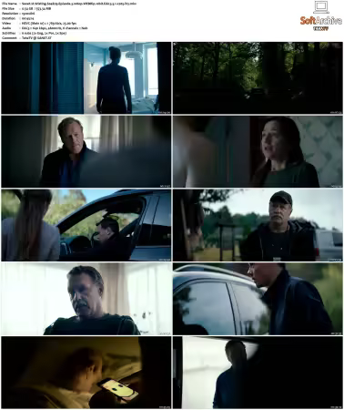 Wisting 2019 S01 S05 1080p BluRay WEB 10bit EAC3 2.0 x265-iVy