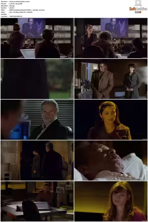 Waking The Dead S01-S09 DVDRip XviD-Mixed