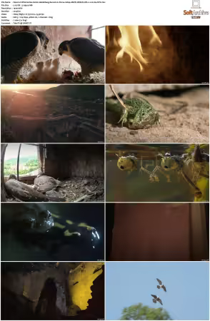 Wild Castles S01 1080p AMZN WEB-DL DDP2.0 H264-NTb
