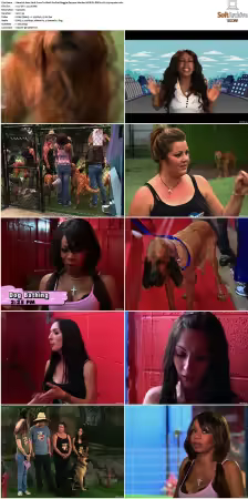 New York Goes To Work S01 WEB-DL DDP20 H264-squalor