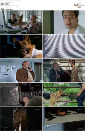 Kommissar Rex S01-S10 German 1080p HDTV x264-OMGtv