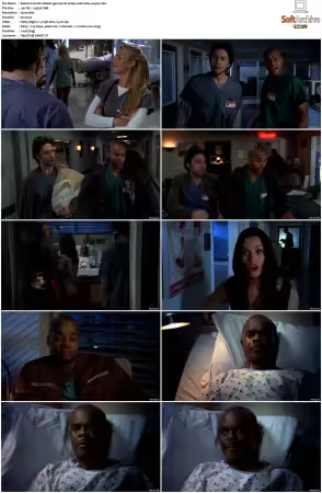 Scrubs 2001 S01-S09 GERMAN DL 1080p WEB h264-MIXED