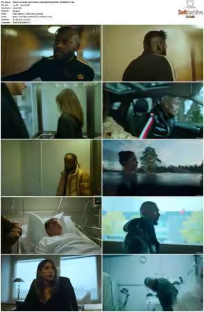 Snabba Cash S01 S02 1080p WEB H264 DDP5.1-DERMAGiC