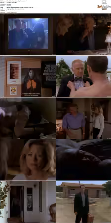 Walker Texas Ranger S01 S09 DVDRip XviD-Mixed
