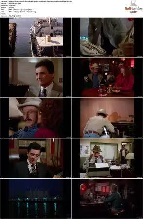 Simon and Simon S01-S08 1080p Blu-ray 10Bit DDP2.0 HEVC-d3g