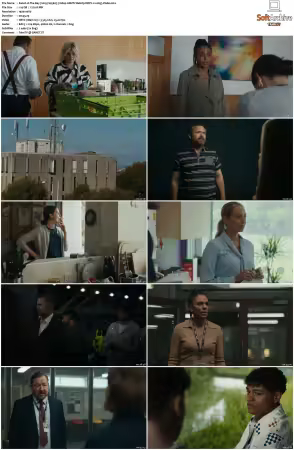 The Bay 2019 S01 S05 1080p AMZN Webrip DDP2.0 x265-Vialle