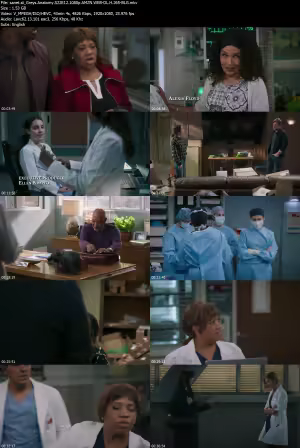 Greys Anatomy S22E12 1080p AMZN WEB-DL H 265-BLG