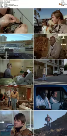 Vegas 1978 S01-S03 480p DVDRip HEVC AAC 2.0 DreadParrot