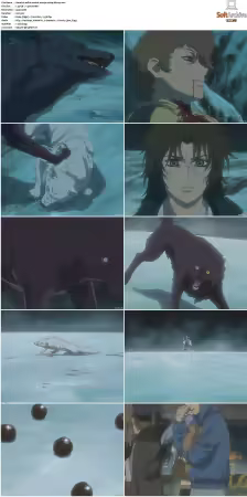 Wolfs Rain S01 1080p BluRay x264-ANiHLS