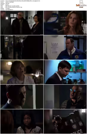Unforgettable S01-S04 1080p AMZN WEBRip DDP 5.1 x265-edge2020