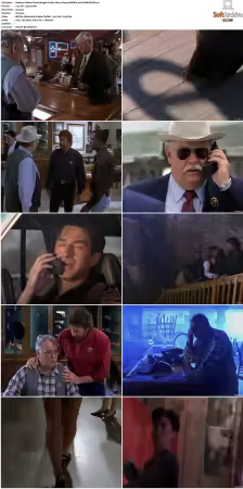 Walker Texas Ranger S01-S09 DVDRip XviD-Mixed