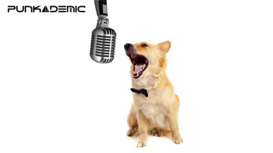 Ear Training &amp; Aural Skills, Part 1: Rhythms
