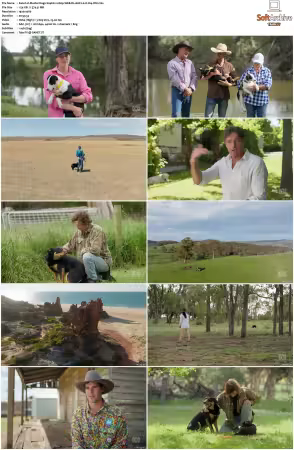 Muster Dogs S04 1080p WEB-DL AAC2.0 H264-WH