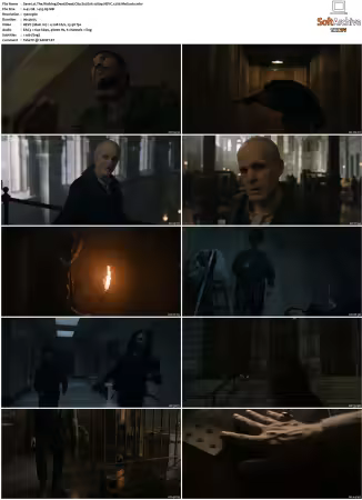 The Walking Dead Dead City S02 1080p Web DDP51 HEVC x265-MeGusta