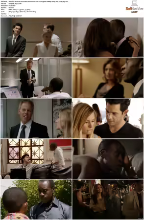 House of Lies S01 S05 WEBRip 1080p DD5.1 H265-d3g