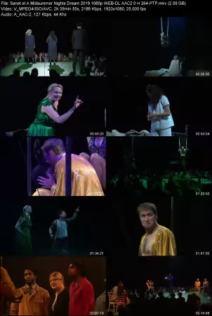 A Midsummer Nights Dream 2019 1080p WEB-DL AAC 2.0 H264-PTP