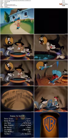 Animaniacs 1993 S01-S05 1080p UPSCALED DD 5.1 x265-EDGE2020