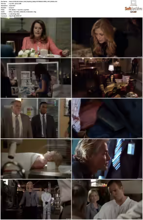 Rizzoli and Isles 2010 S01-S07 1080p NF WEB-DL DDP5.1 AV1-Vialle
