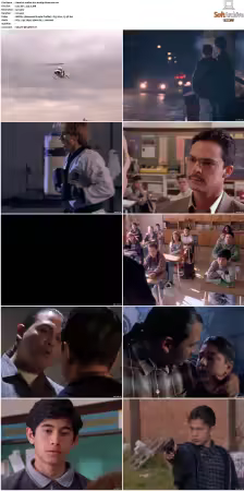 Walker Texas Ranger S01-S09 DVDRip XviD-Mixed