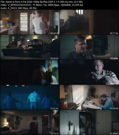Rent-A-Pal 2020 1080p BluRay DDP 5.1 H265-iVy