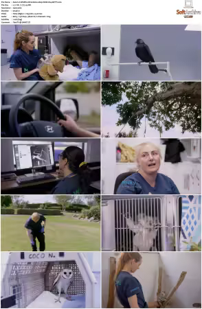 Wildlife ER S01S02 1080p WEB h264-BETTY