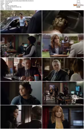 Rizzoli and Isles 2010 S01-S07 1080p NF WEB-DL DDP5.1 AV1-Vialle
