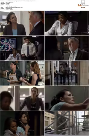 Rizzoli and Isles 2010 S01-S07 1080p NF WEB-DL DDP5.1 AV1-Vialle