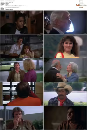 V Boxset 1983-2009 DVDRip XviD-Scene