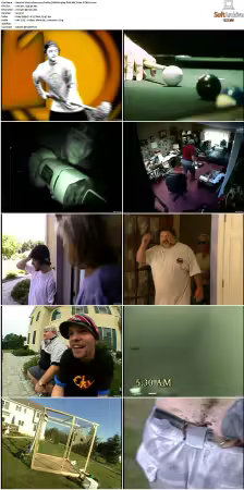 Viva La Bam 2003 S01 S05 DVD AAC H264 PiTBULL