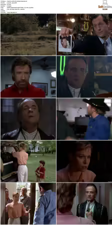 Walker Texas Ranger S01-S09 DVDRip XviD-Mixed