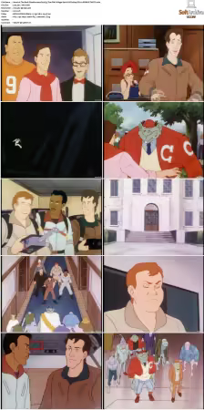 The Real Ghostbusters S01-S07 DVD REMUX-MIXED