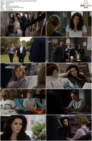 Rizzoli and Isles 2010 S01-S07 1080p NF WEB-DL DDP5.1 AV1-Vialle