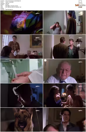 Kommissar Rex S01 S10 German 1080p HDTV x264-OMGtv