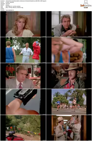 Simon and Simon S01-S08 1080p Blu-ray 10Bit DDP2.0 HEVC-d3g