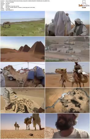 Walking the Nile S01 1080p DSCV+ WEB-DL ENG-HIN-TEL-TAM-BEN AAC H264-NOGRP