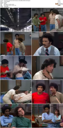 Welcome Back Kotter S01-S04 1080p WEBRip 10Bit DDP2.0 HEVC-d3g