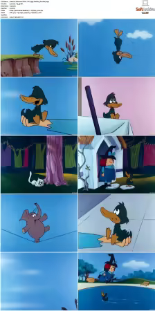 Winsome Witch S01 S02 h264-NGP