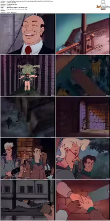 The Real Ghostbusters S01-S07 DVD REMUX-MIXED
