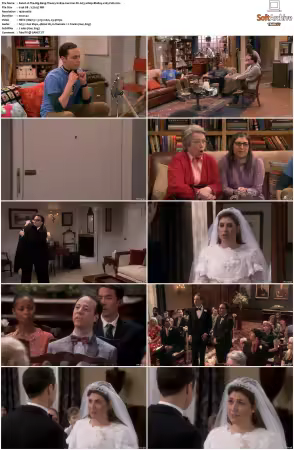 The Big Bang Theory S01-S12 German DL AC3 1080p BluRay x265-FuN