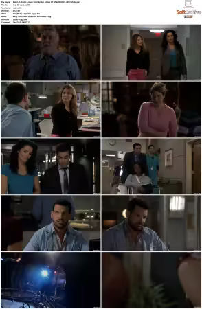 Rizzoli and Isles 2010 S01-S07 1080p NF WEB-DL DDP5.1 AV1-Vialle