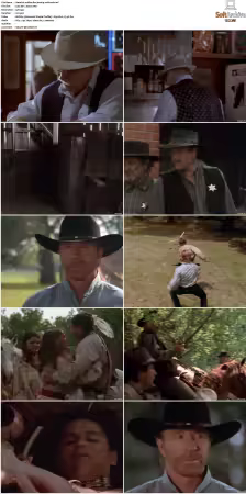 Walker Texas Ranger S01-S09 DVDRip XviD-Mixed