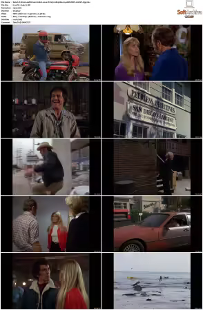 Simon and Simon S01-S08 1080p Blu-ray 10Bit DDP2.0 HEVC-d3g