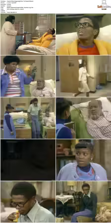 Whats Happening S01-S03 DVDRip XviD-NGP