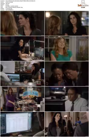 Rizzoli and Isles 2010 S01-S07 1080p NF WEB-DL DDP5.1 AV1-Vialle