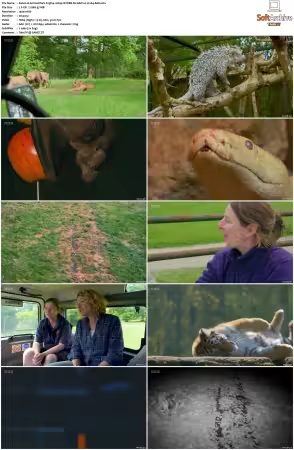 Animal Park S25 1080p iP WEB-DL AAC2.0 H264-AEK
